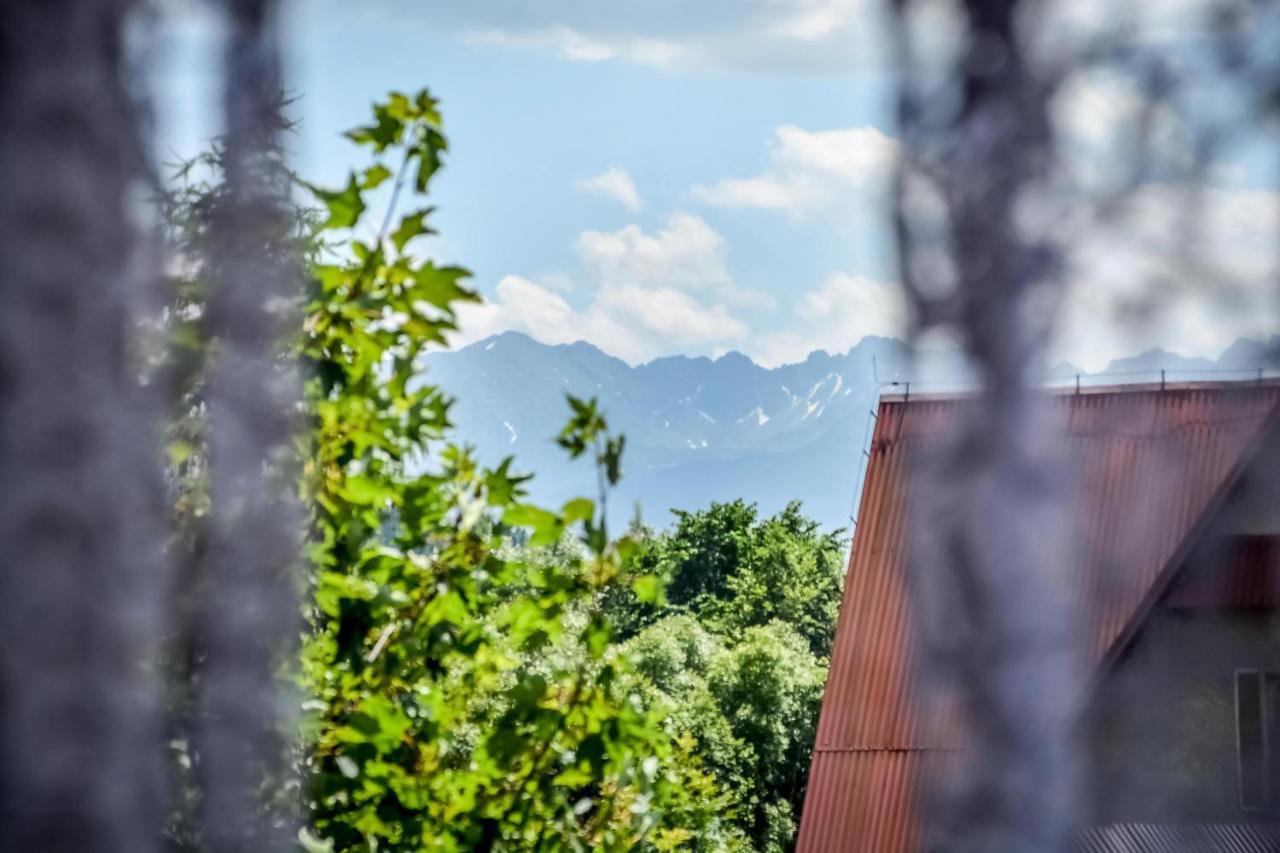 Willa Goralska Biały Dunajec Exterior foto
