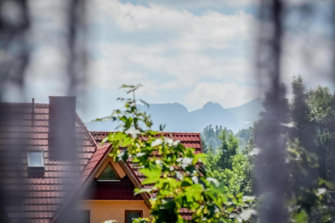 Willa Goralska Biały Dunajec Exterior foto